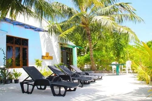 Black sun loungers beneath coconut palms outside the white Ithaa Beach Maldives guesthouse
