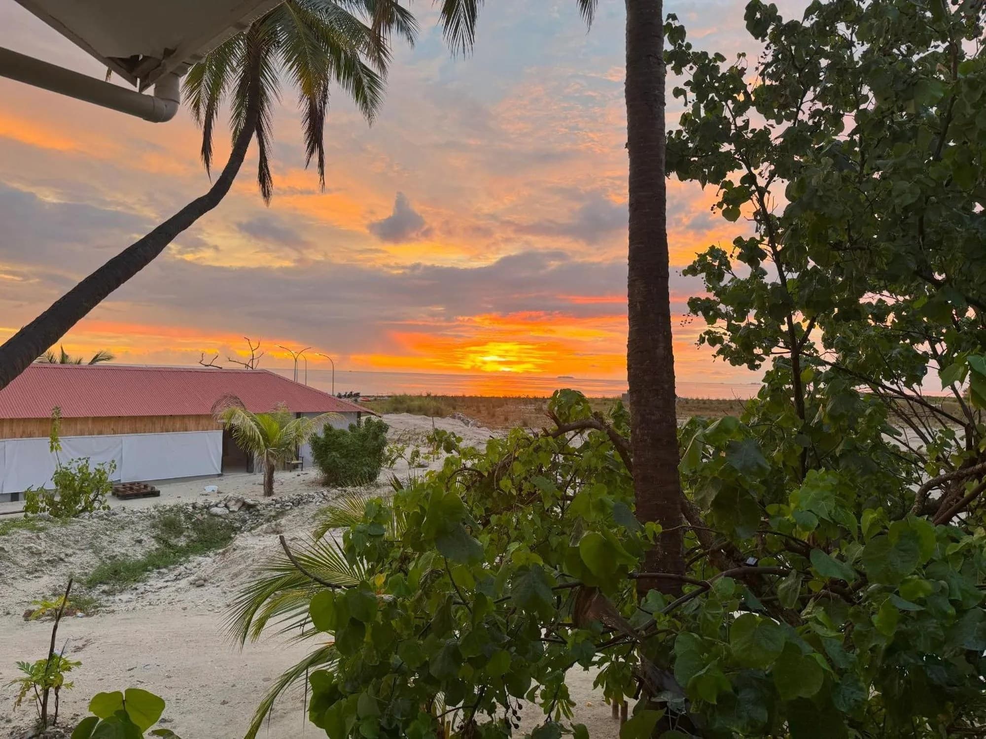 Orange sunset seen from Adroit Sunset View, framed by coconut palms and dense island foliage